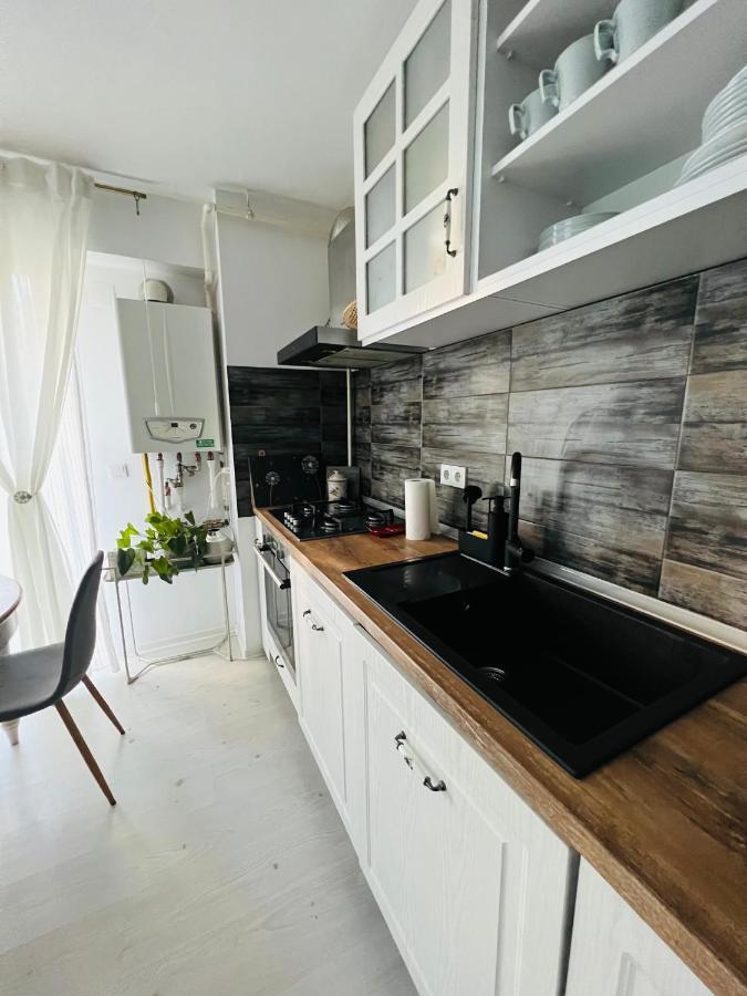 The Airport Loft Appartement Otopeni Buitenkant foto