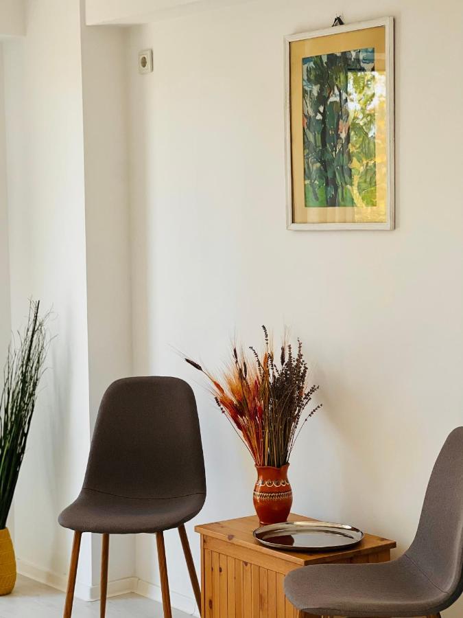 The Airport Loft Appartement Otopeni Buitenkant foto