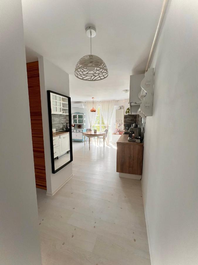 The Airport Loft Appartement Otopeni Buitenkant foto